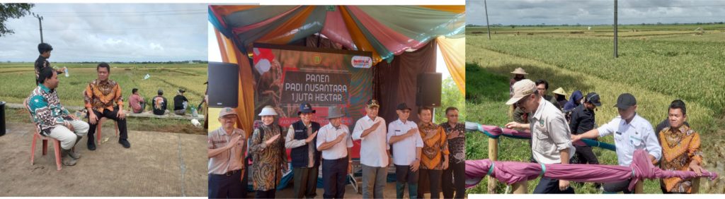 Panen Padi Nusantara 2